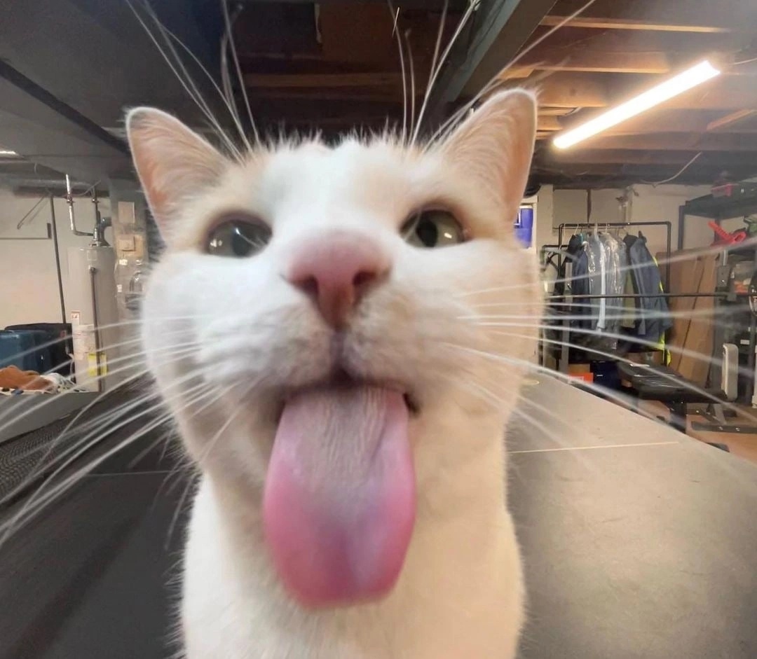 I haven't showered in over 2 days