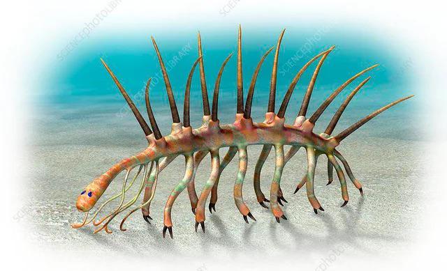 i literally look like this