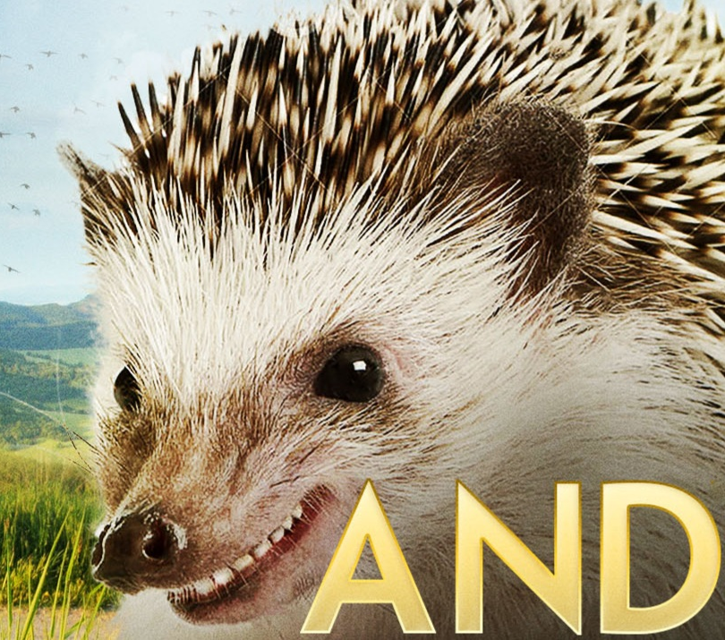 Reunite the hedgehog family